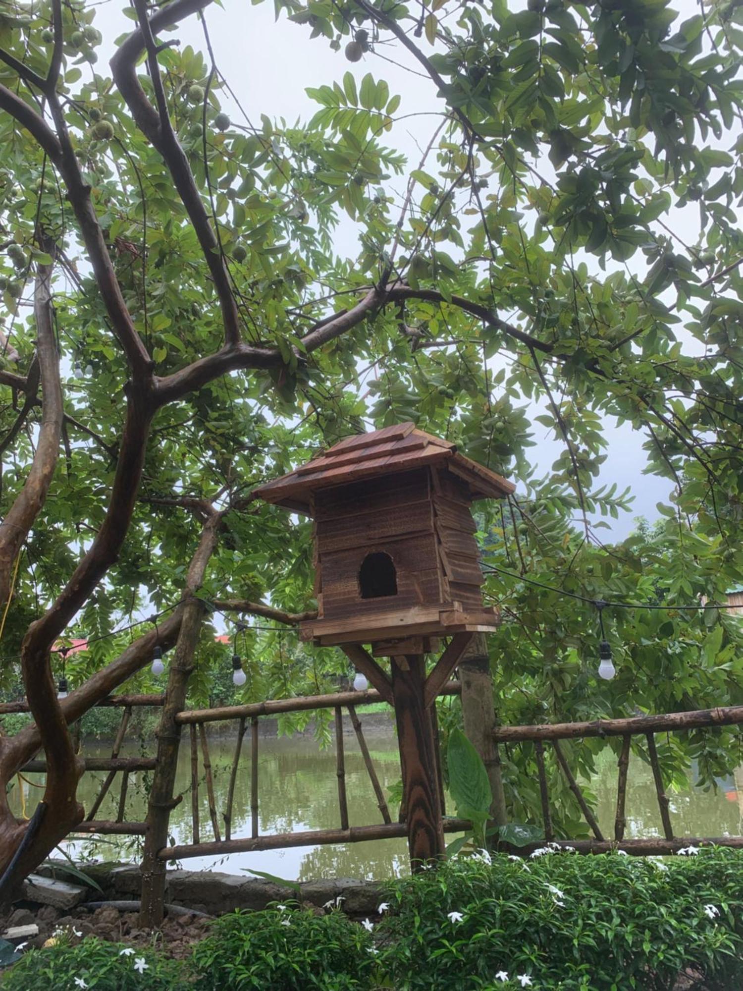 Peaceful Refuge Homestay Ninh Binh Luaran gambar