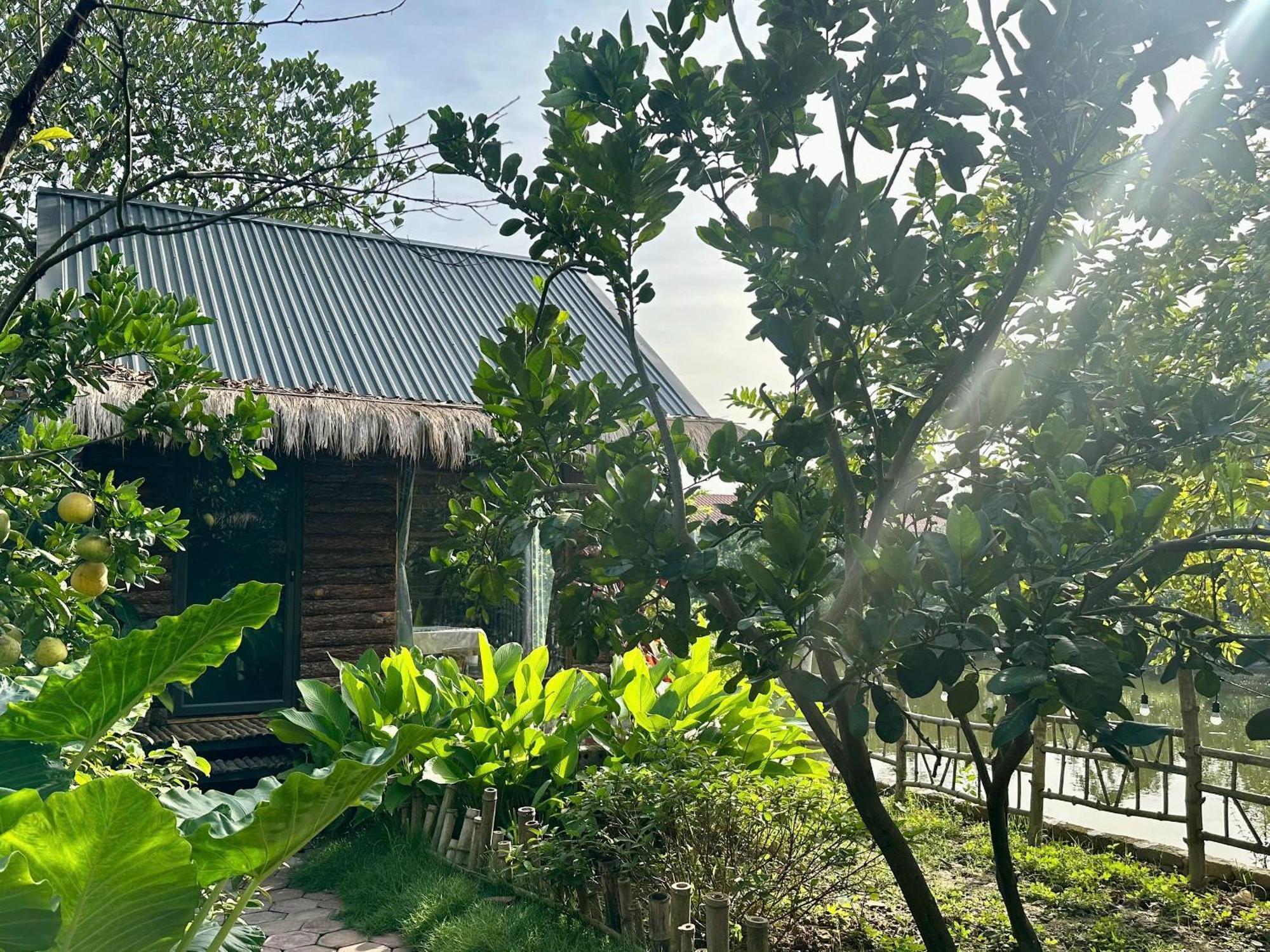 Peaceful Refuge Homestay Ninh Binh Luaran gambar